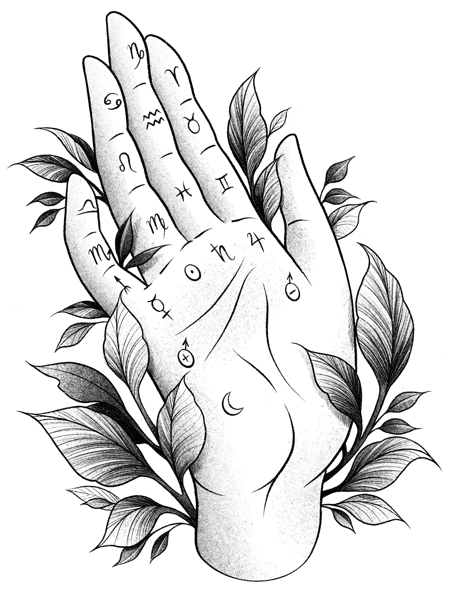 Palmestry hand